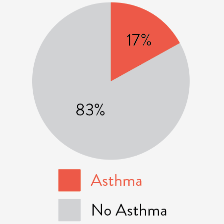 100 pie charts